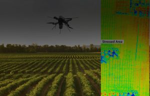 AI-Powered Drones for Precision Agriculture – The Secret to Scaling and Sustenance